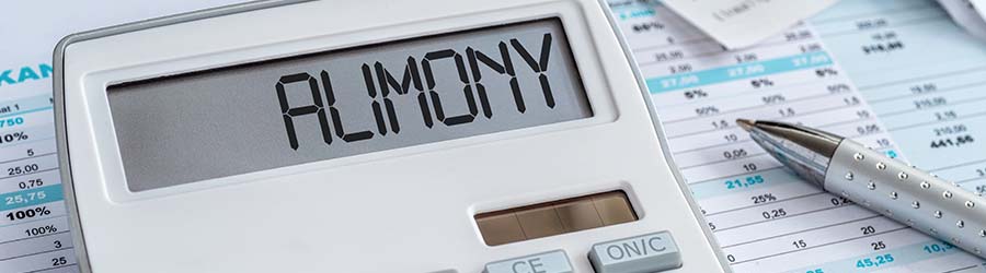 Traverse City Alimony Lawyer