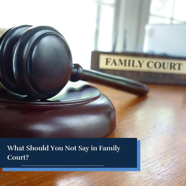 Things You Shouldn t Say in Family Court