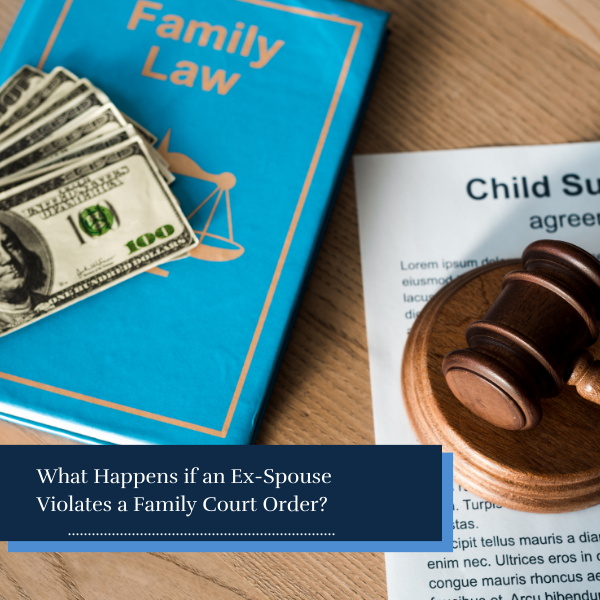 child support agreement, bank notes, family law book, and gavel on a table