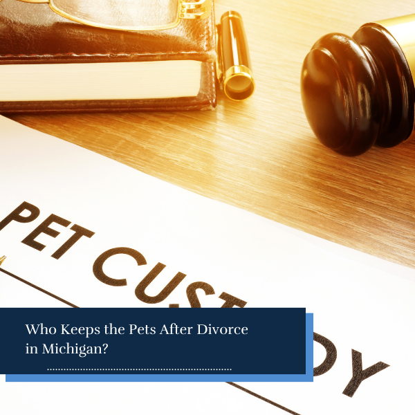 documents of pet custody during divorce